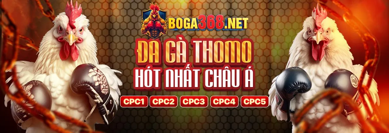 Điều khoản và Điều kiện bj27