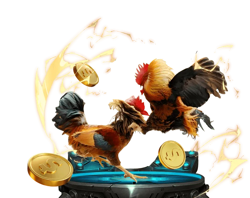 Sự Kiện Đặc Biệt Đá Gà RED88 VIN